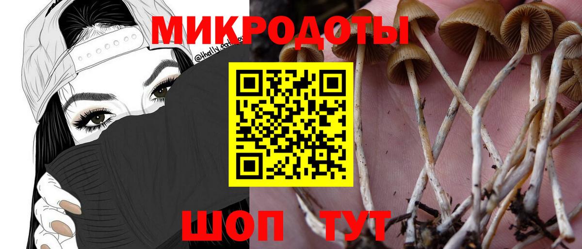Галлюциногенные грибы мухоморы Азов